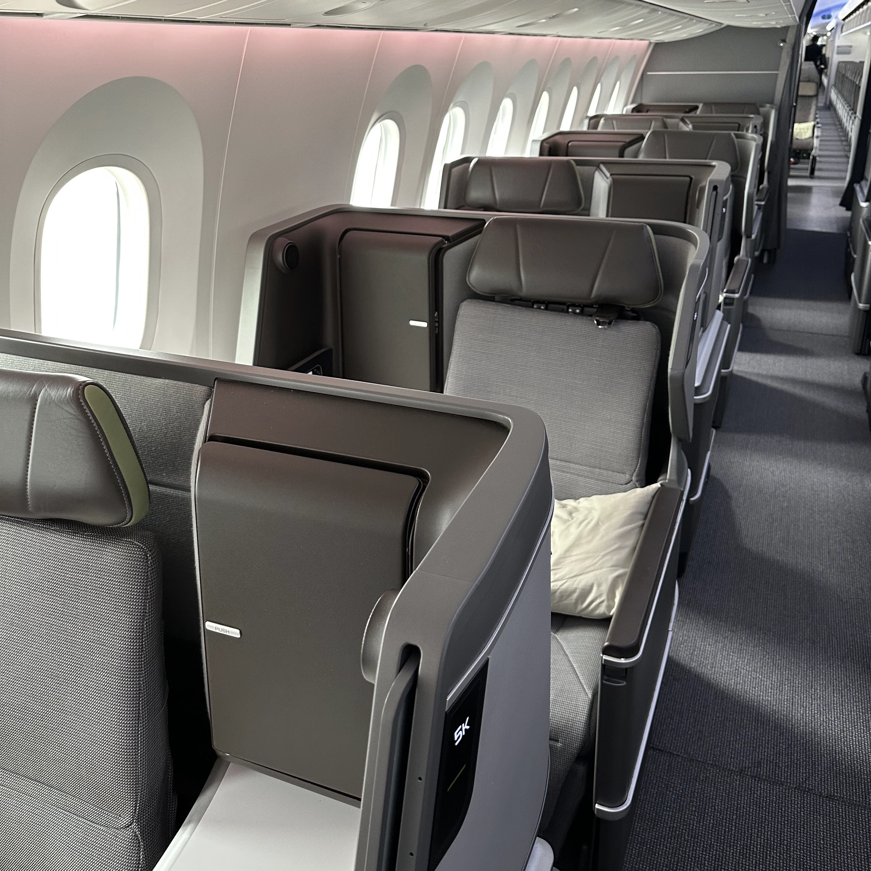 Eva Air Boeing 787-10 business class window seats.