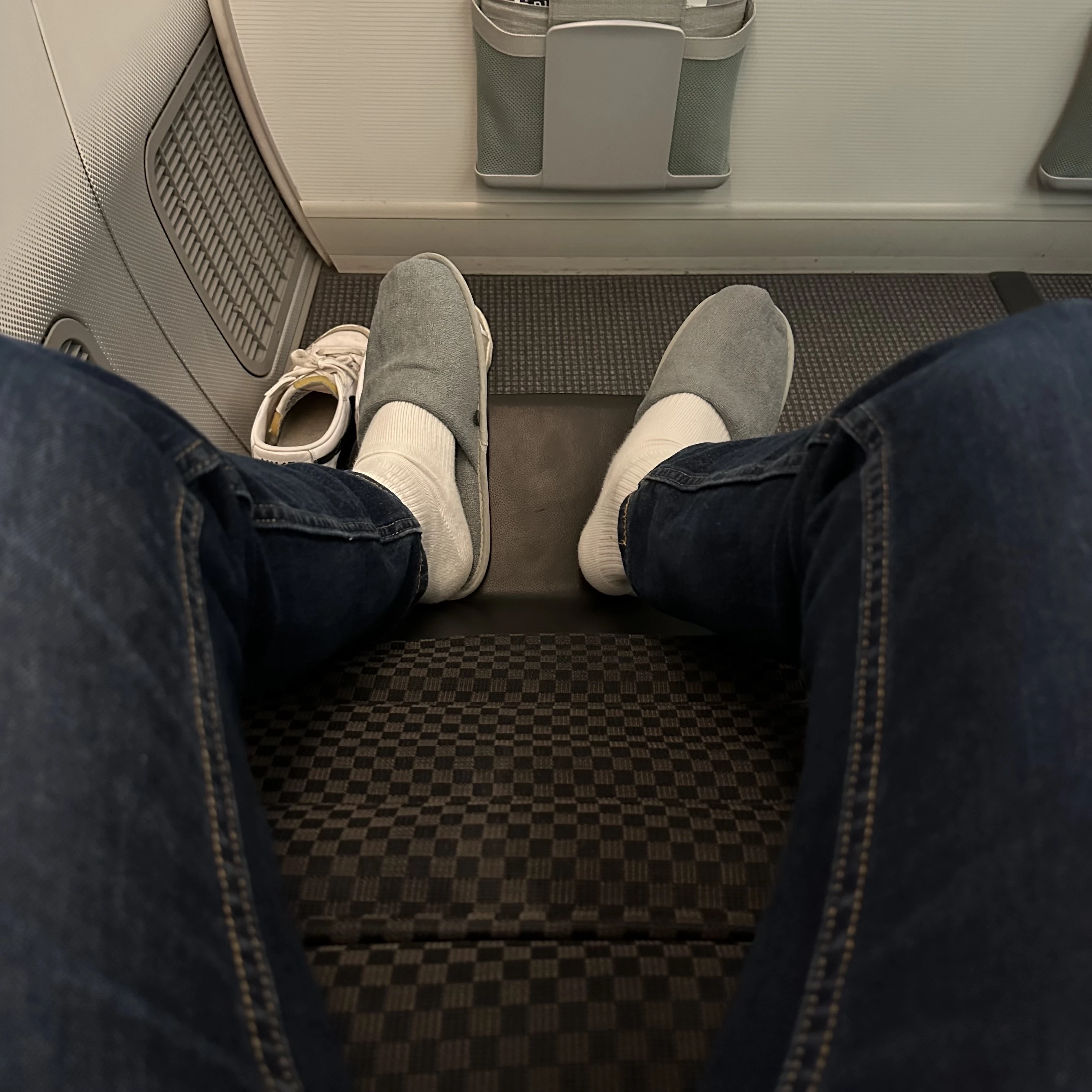 Japan Airlines Boeing 787-8 business class has free slippers.