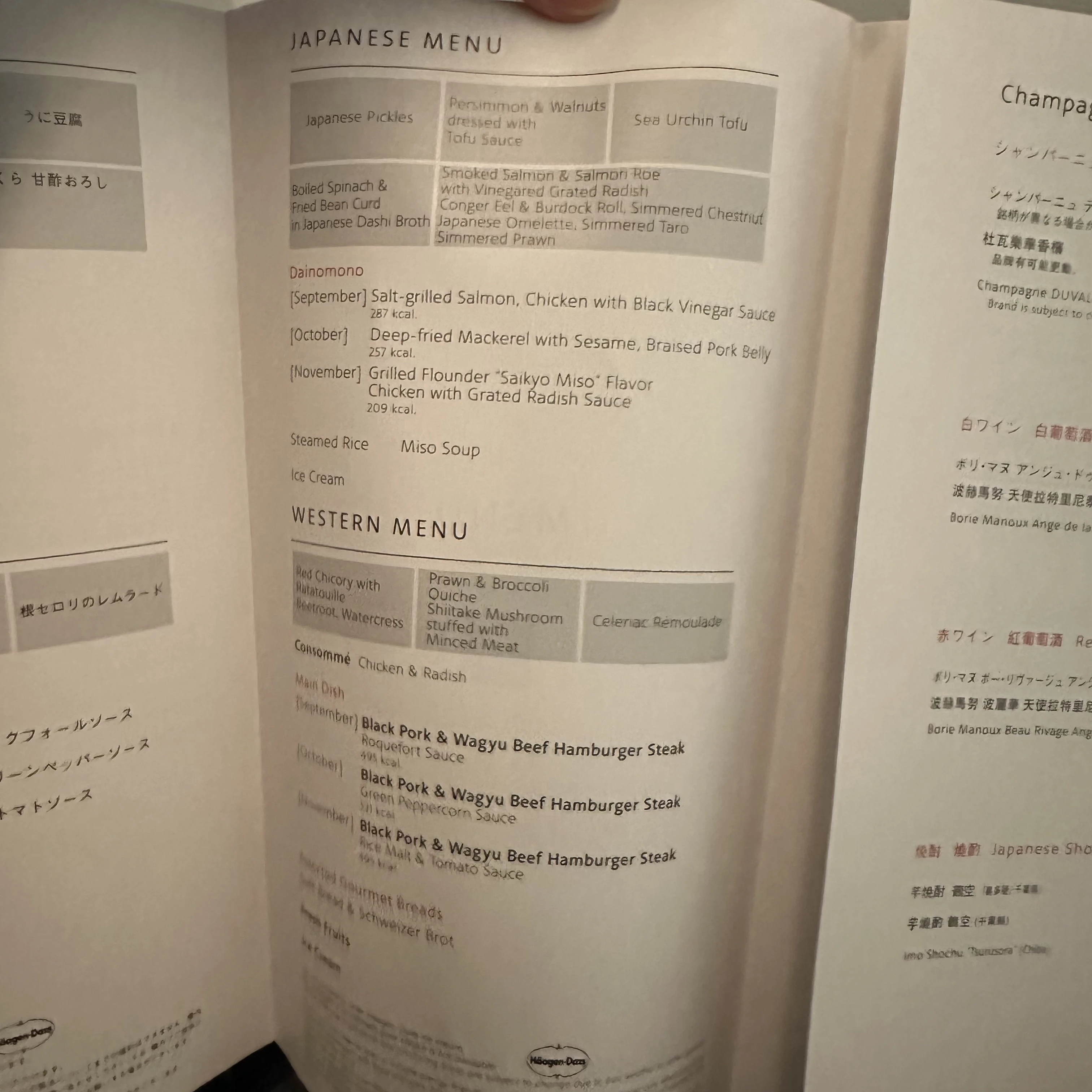 Japan Airlines Boeing 787-8 business class menu.