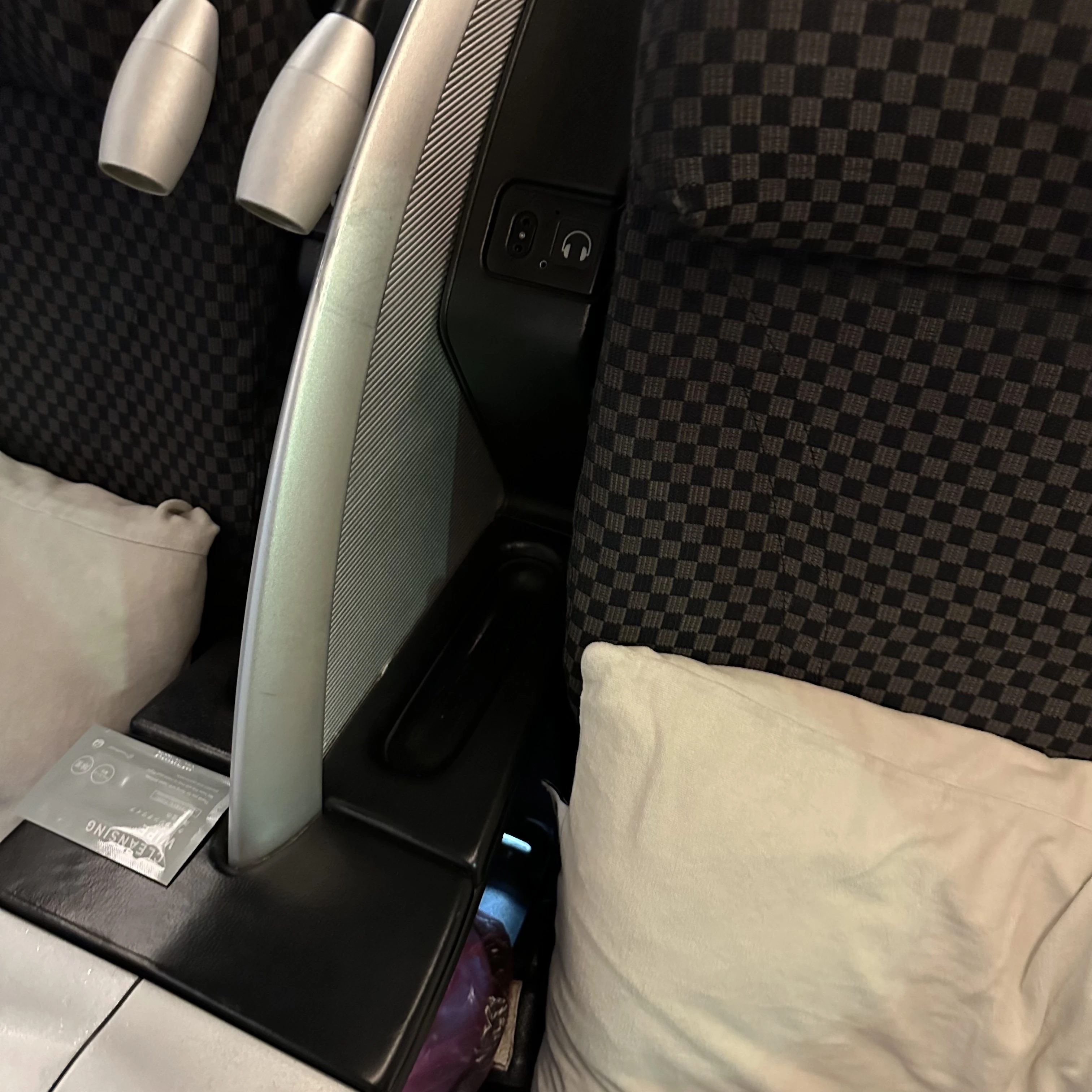 Japan Airlines Boeing 787-8 business class seat light and divider.